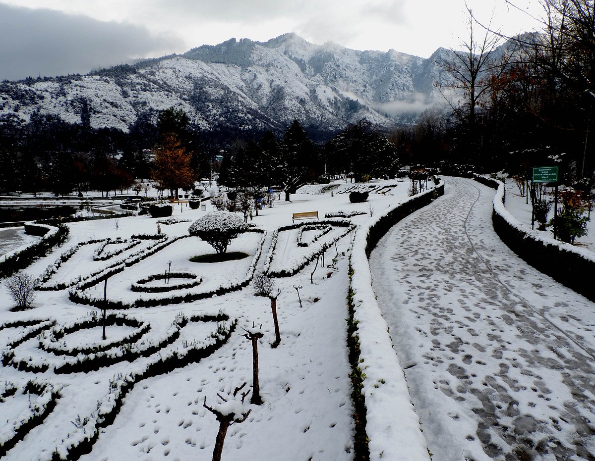 سری نگر میں رواں موسم سرما کی پہلی برف باری