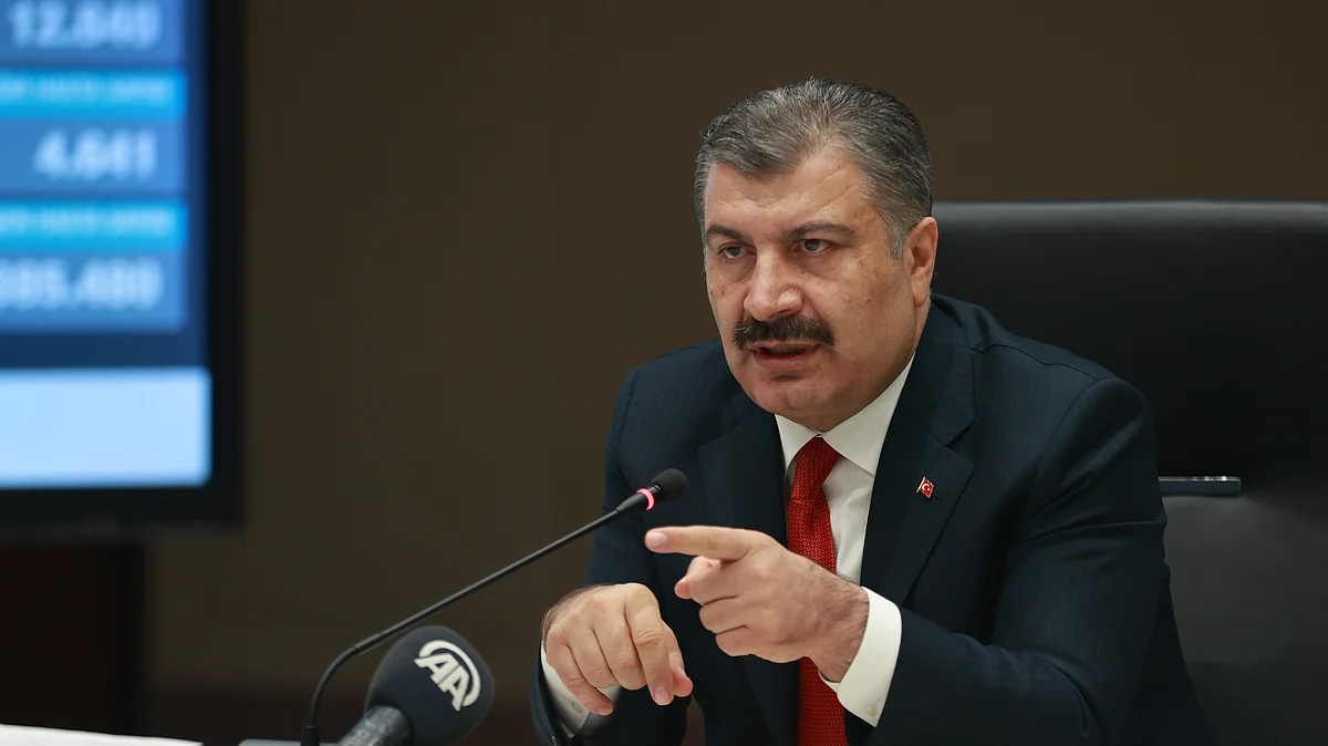 ترکی کے وزیرِ صحت فرحتین کوکا / Getty Images