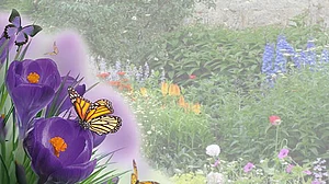 علامتی تصویر