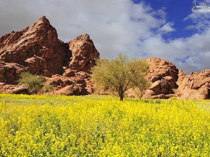 سعودی عرب: حائل شہر کے مغرب میں ’قدرتی مناظر‘ کا جمال