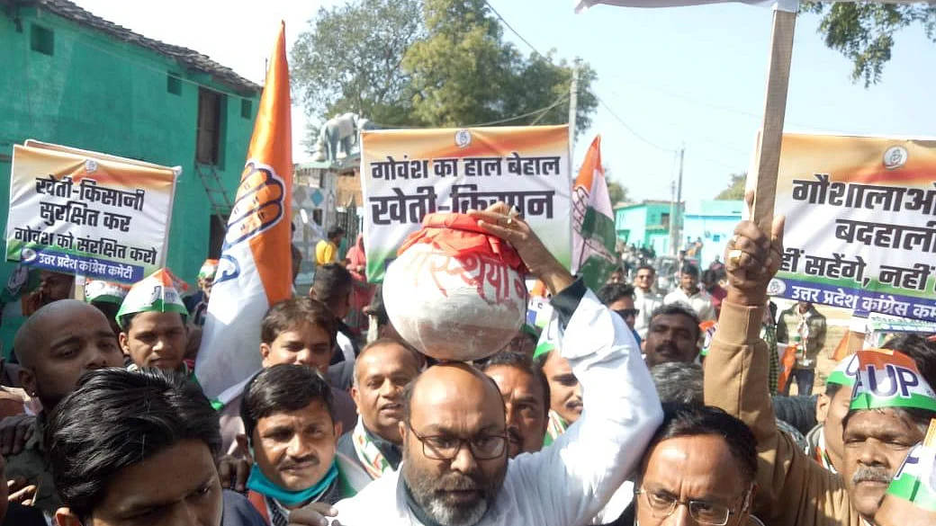 تصویر بشکریہ سوشل میڈیا