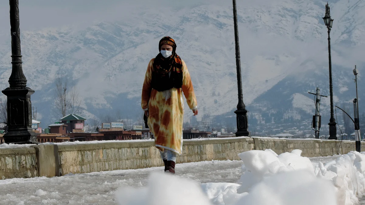 تصویر یو این آئی