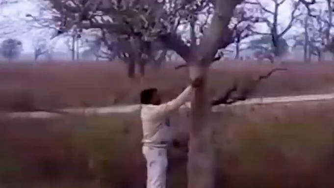 تصویر ویڈیو گریب