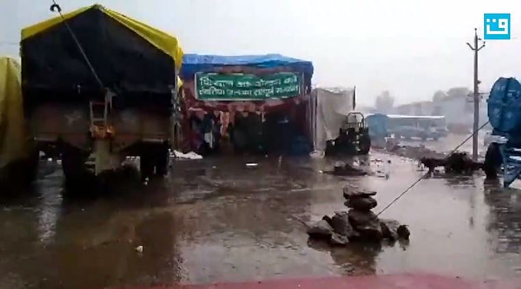 تصویر ویڈیو گریب