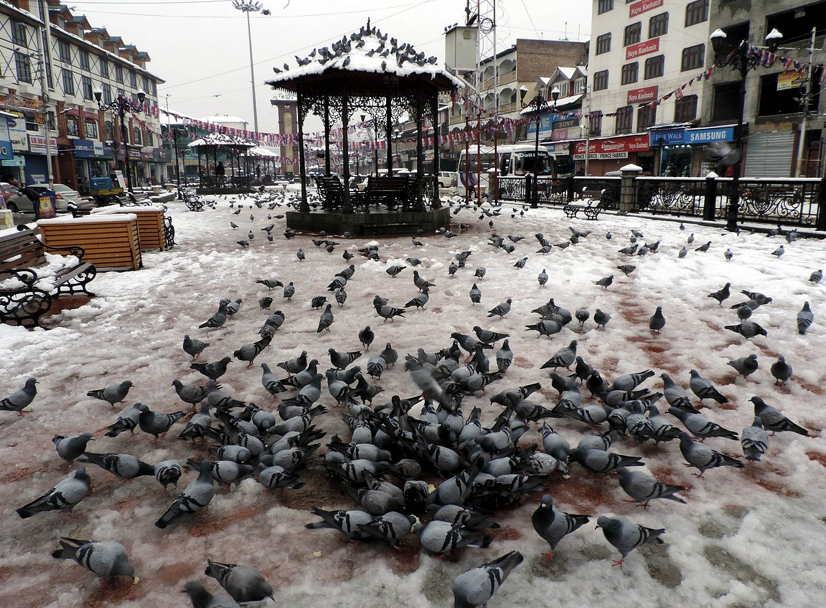 کشمیر میں برف باری کا تیسرا دن، معمول کی زندگی مفلوج