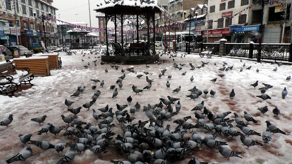 وادی کشمیر میں برف باری / یو این آئی