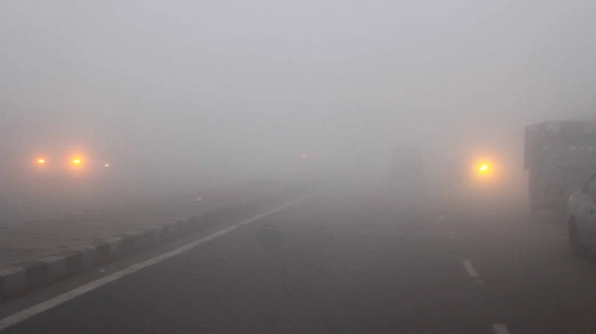 دہلی میں کہرا / IANS