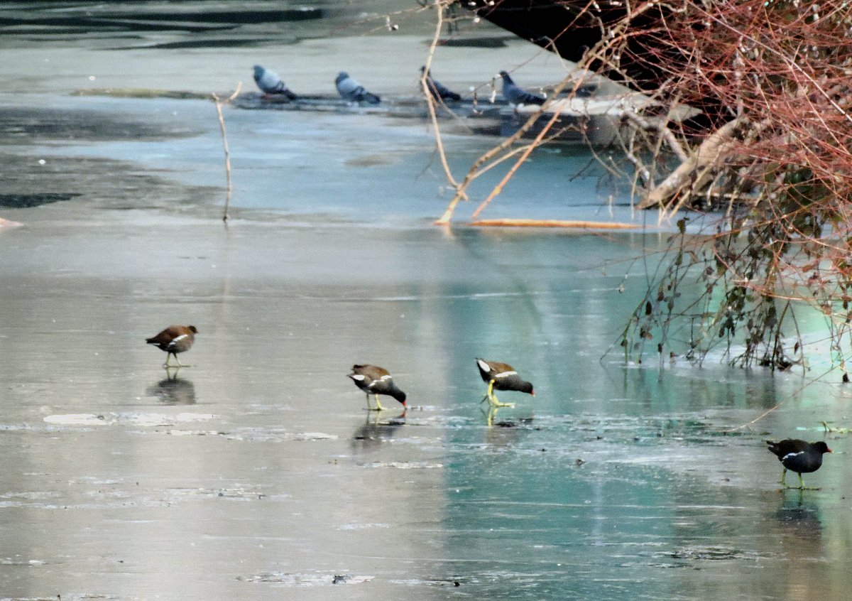 کشمیر میں ریکارڈ ساز سردیاں / تصویر یو این آئی 