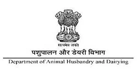 فائل تصویر یو این آئی