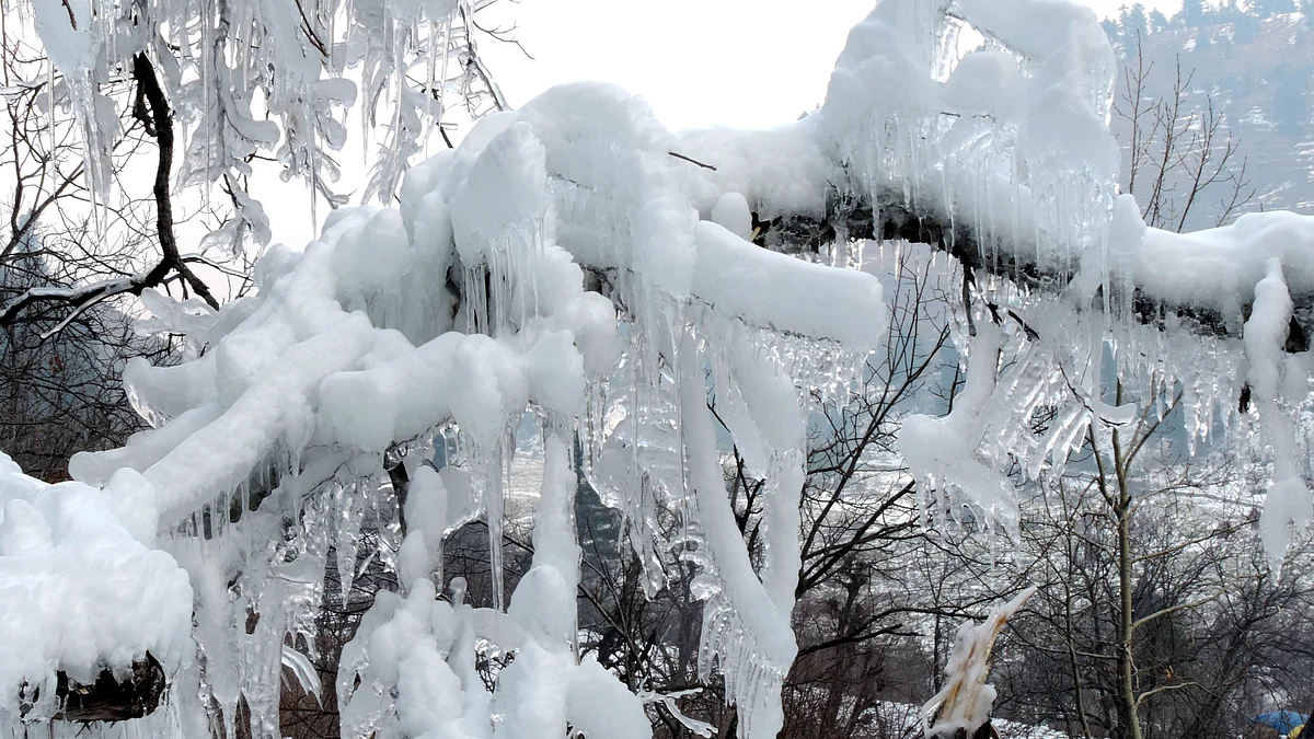 کشمیر میں برف باری / تصویر یو این آئی