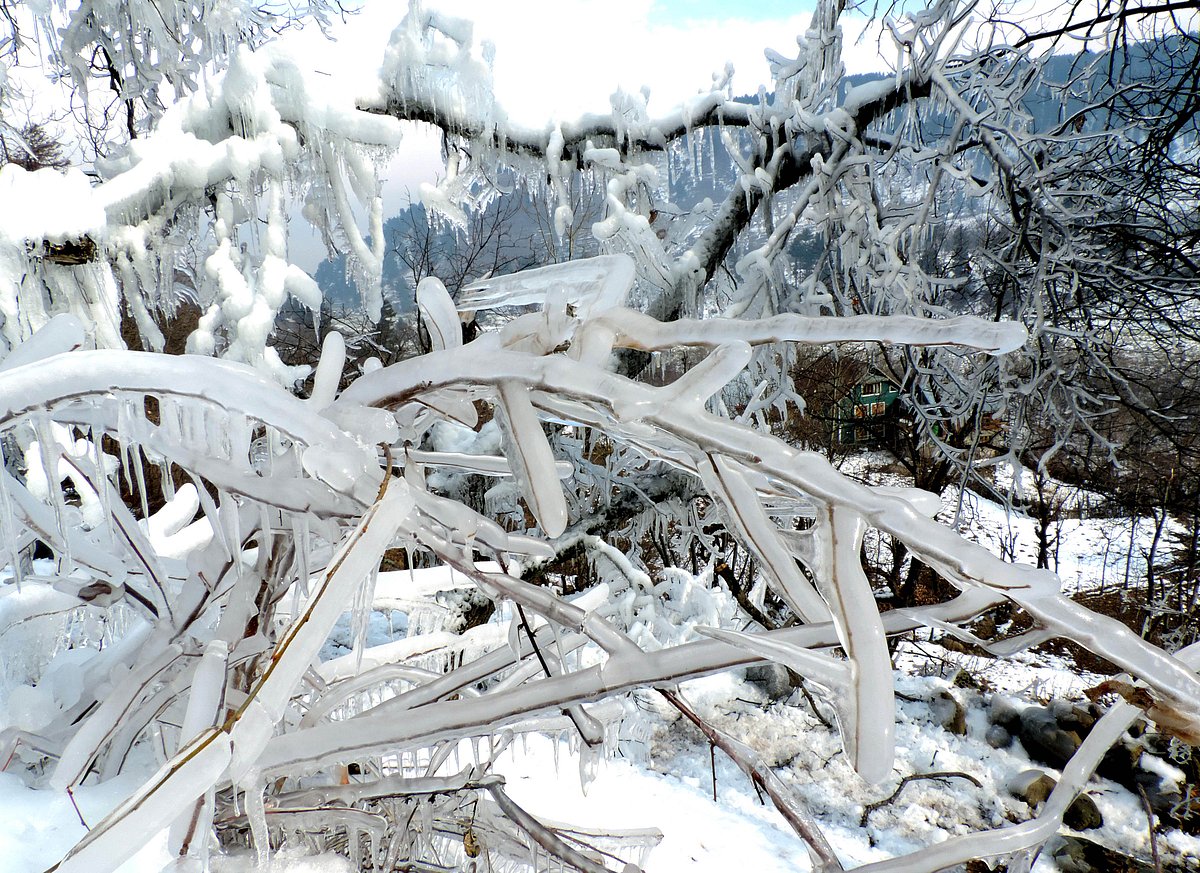 کشمیر میں برف باری / تصویر یو این آئی