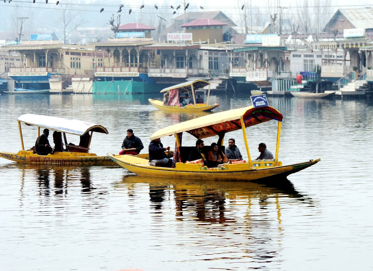 شمالی کشمیر کے ضلع کپواڑہ میں  برڈ فلو کی تصدیق