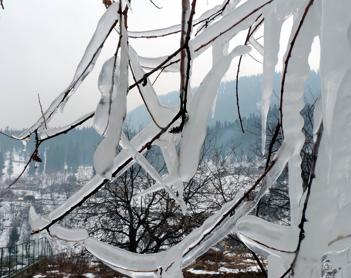 کشمیر میں برف باری / تصویر یو این آئی