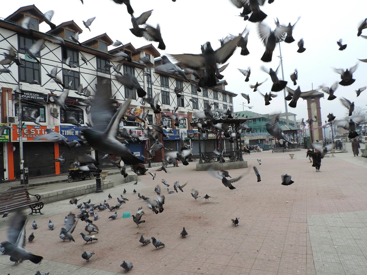 کشمیر: افضل گورو کی آٹھویں برسی پر کہیں مکمل تو کہیں جزوی ہڑتال