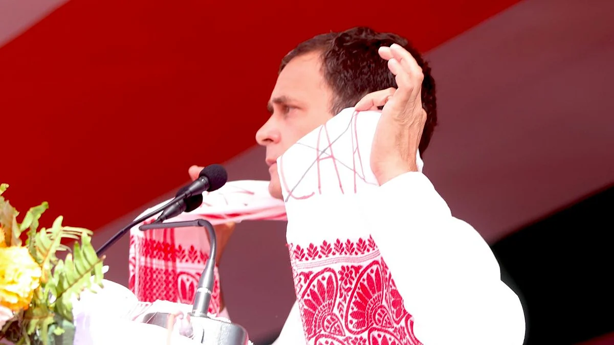 راہل گاندھی، تصویر ٹوئٹر @INCIndia