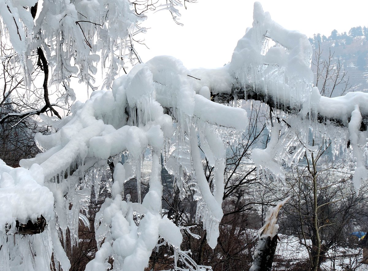کشمیر میں برف باری / تصویر یو این آئی