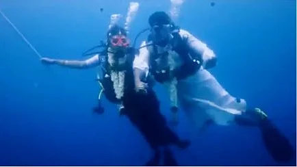 تصویر ویڈیو گریب