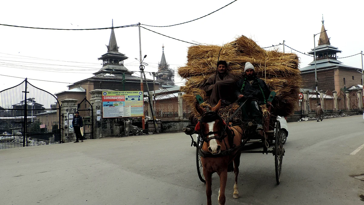 تصویر یو این آئی