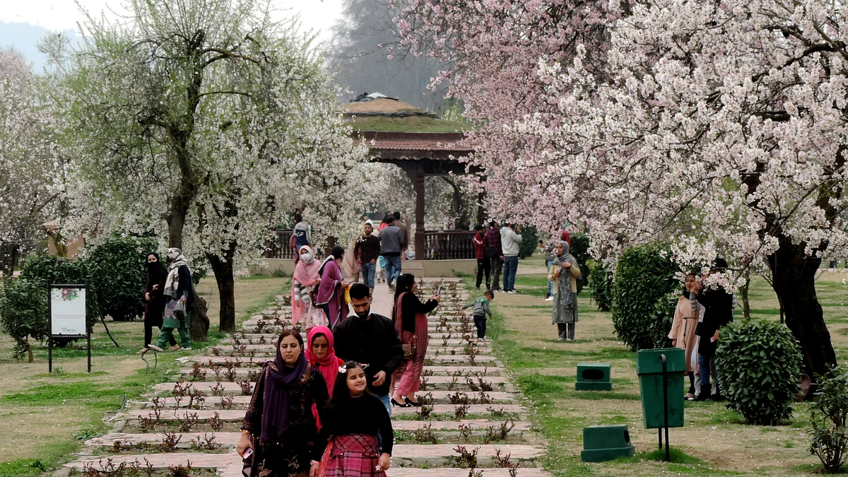 تصویر یو این آئی