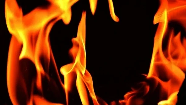 علامتی تصویر، آئی اے این ایس