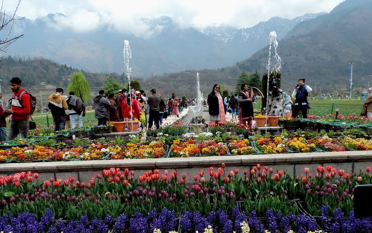 سری نگر: ایشیا کا سب سے بڑا باغ ’گل لالہ‘ لوگوں کے لئے کھل گیا