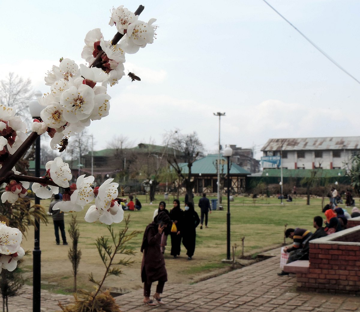 تصویر یو این آئی