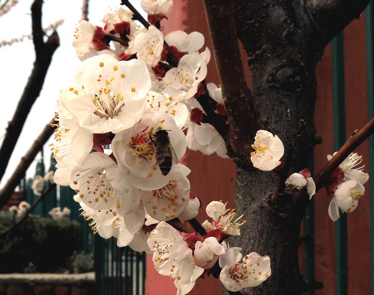 تصویر یو این آئی