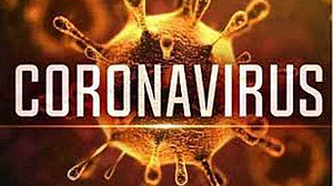 ہریانہ میں کورو نا کے 821 نئے معاملے، تین اموات