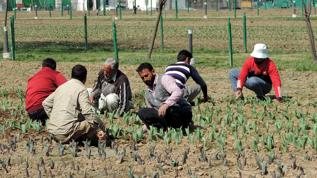 تصویر یو این آئی
