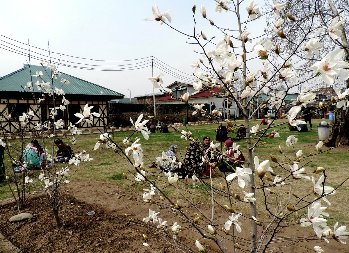 کشمیر میں موسم خوشگوار، اتوار سے برف و باراں کی پیش گوئی