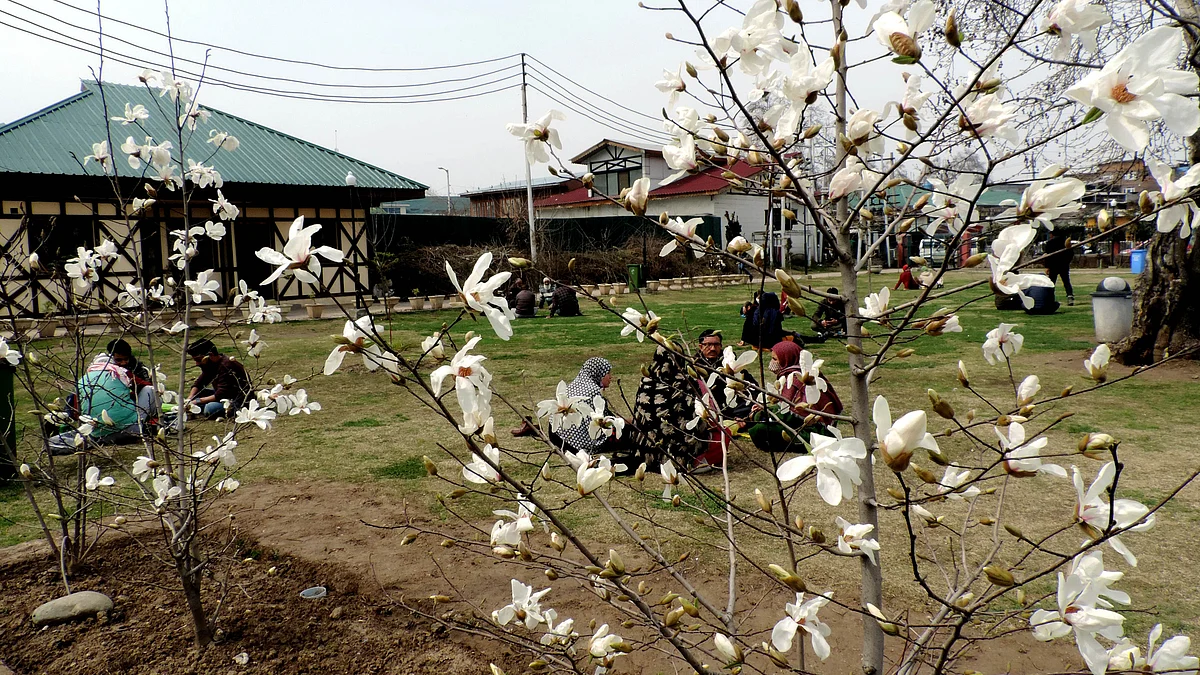 تصویر یو این آئی