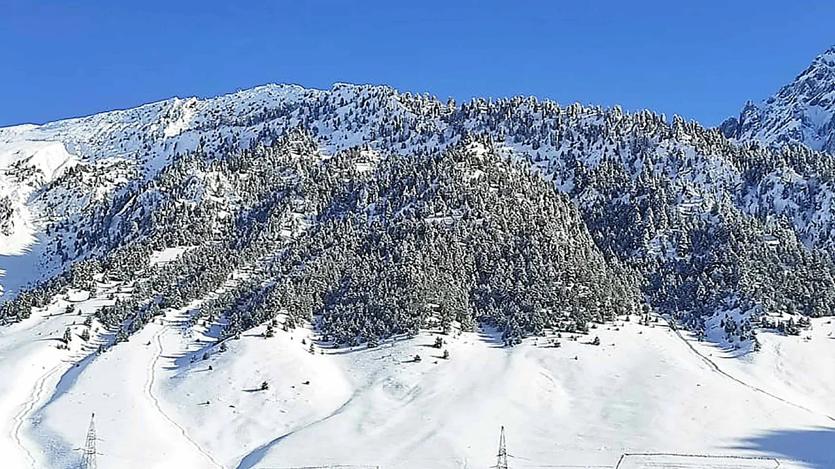 تصویر یو این آئی