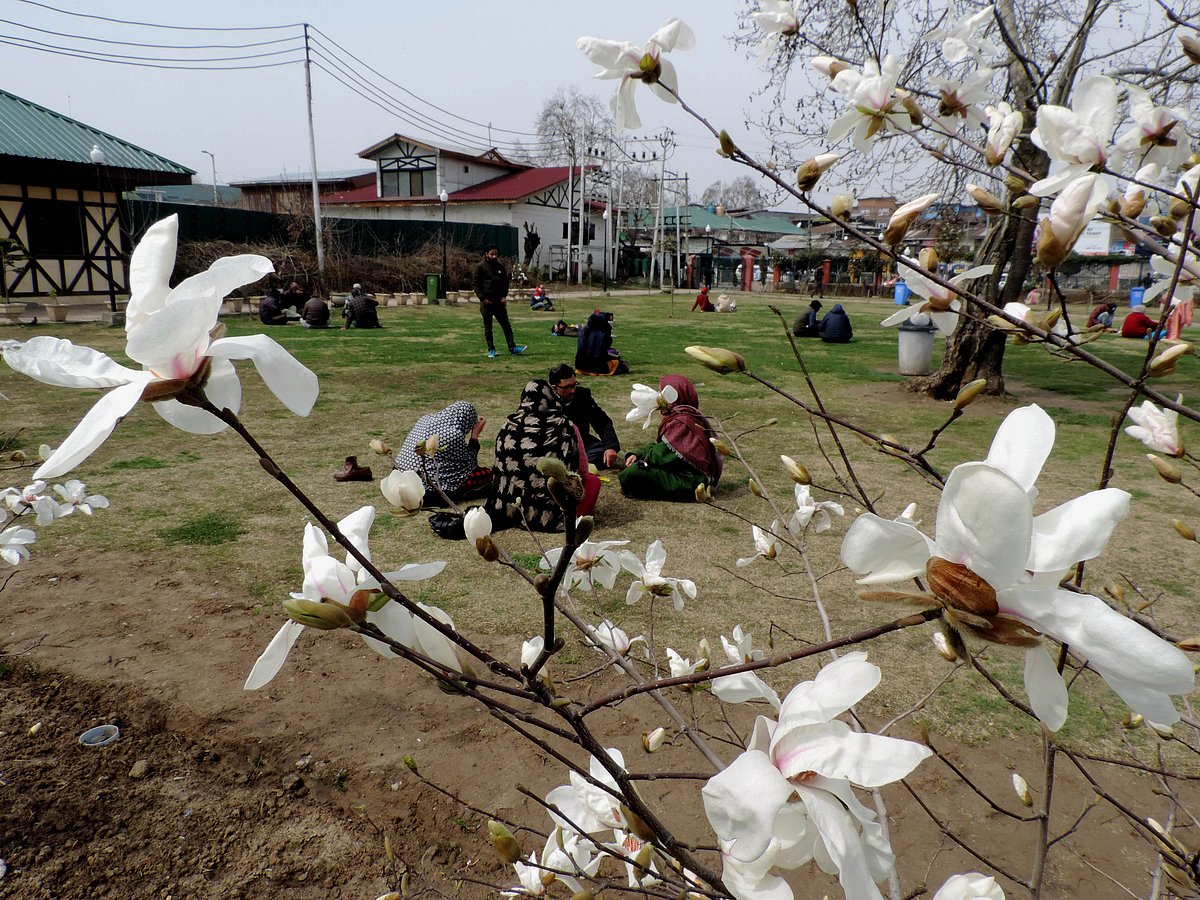 کشمیر میں موسم خوشگوار، درجہ حرارت میں کہیں گراوٹ تو کہیں بہتری