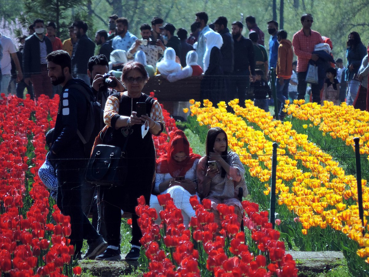کشمیرمیں تین روز بعد ہوا موسم خوشگوار، درجہ حرارت میں کمی واقع