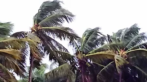 اوڈیشہ کے بالیشور اور دھرما میں ساحل سے ٹکرایا سمندری طوفان یاس، بڑے پیمانے پر نقصانات کا خدشہ