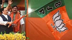 فائل تصویر یو این آئی 