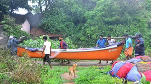 گجرات: تاؤتے طوفان کے سبب شیرنی اور کالے ہرنوں کی لاشیں برآمد، محکمہ جنگلات پر حقیقت چھپانے کا الزام