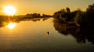 اگلے پانچ سال میں گرمی کا نیا ریکارڈ قائم ہو سکتا ہے، ماہرین کا خدشہ