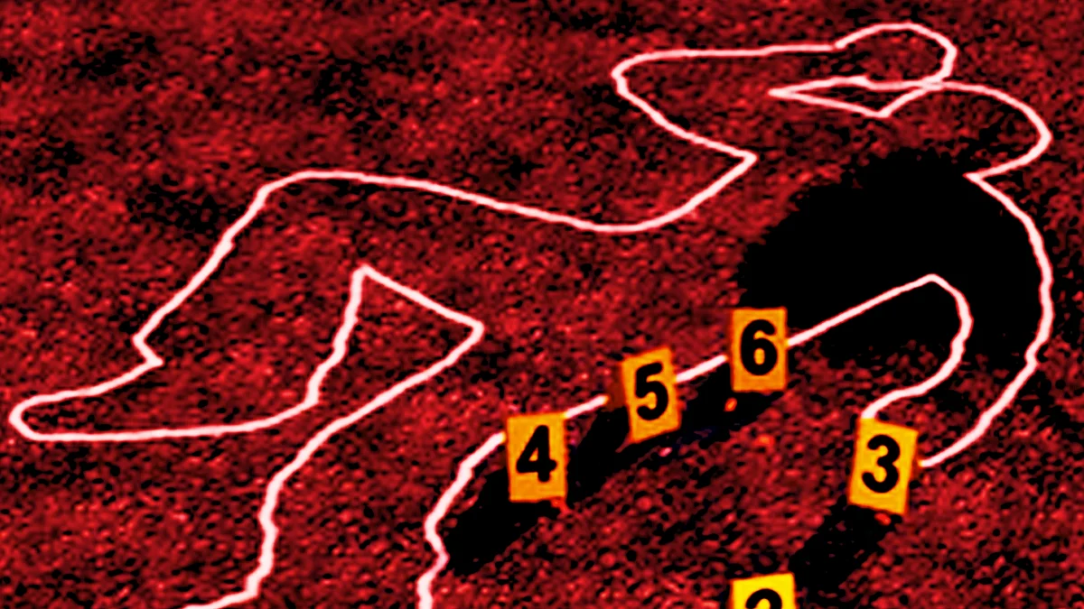 علامتی، تصویر آئی اے این ایس