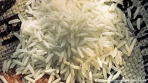 باسمتی چاول ہندوستانی یا پاکستانی، معاملہ یورپی یونین میں