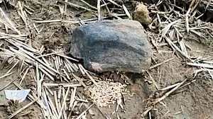 مہاراشٹر: کھیت میں نصب مورتی کو انجانے میں نقصان پہنچانے پر کسان کے سماجی بائیکاٹ کی دھمکی، 8 کے خلاف مقدمہ