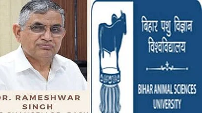 تصویر یو این آئی