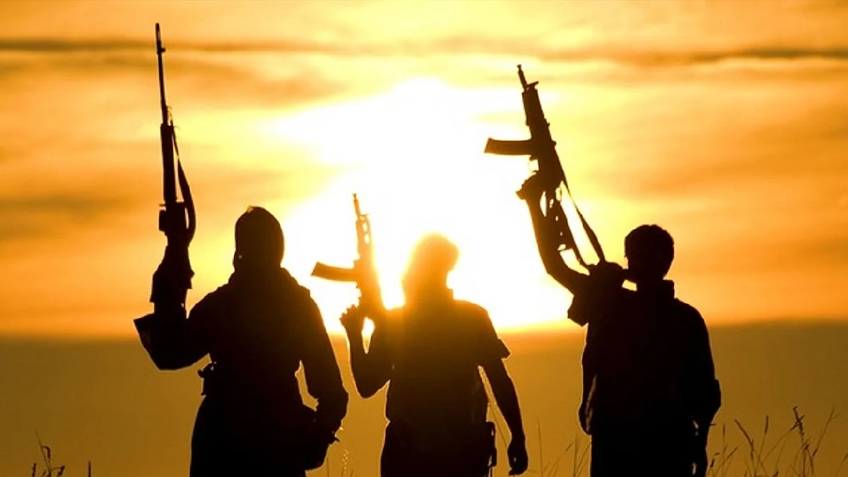 تصویر آئی اے این ایس