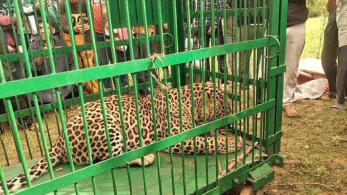 تصویر بشکریہ ٹوئٹر / @DailyTaskeen