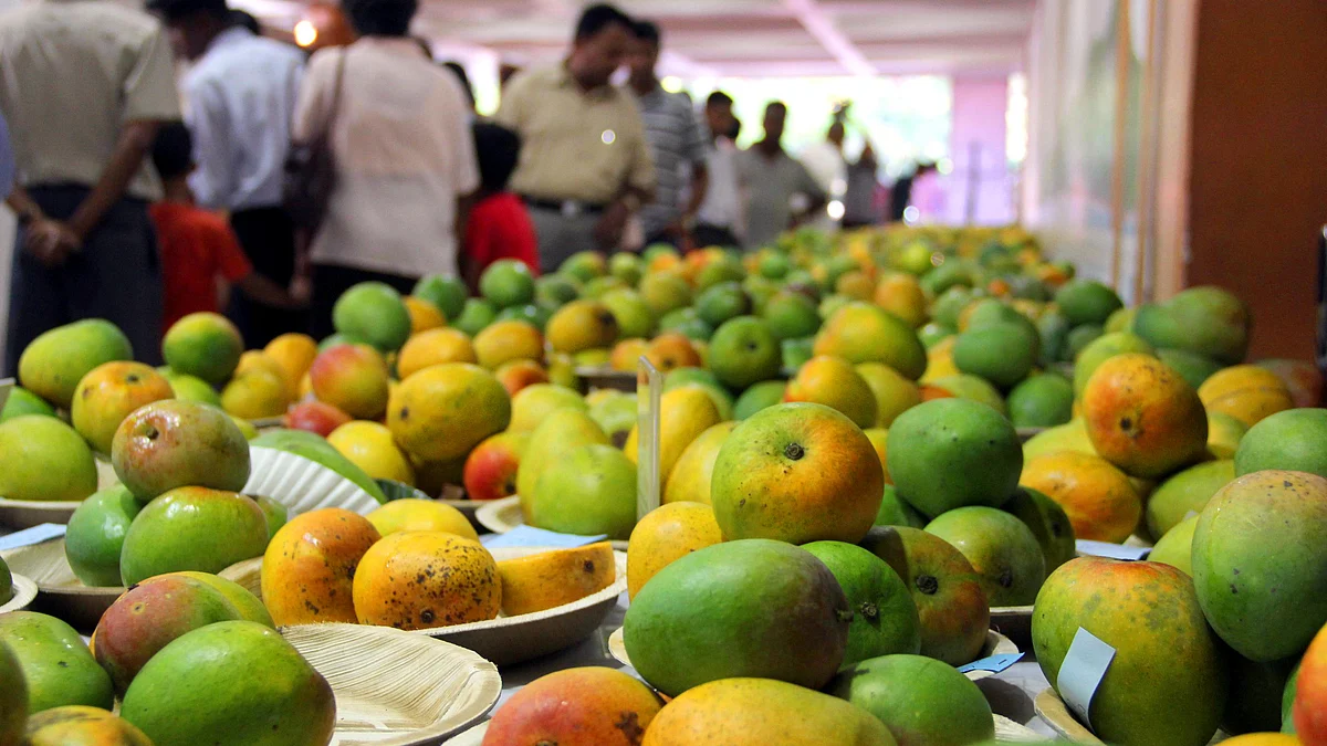 آم، تصویر آئی اے این ایس