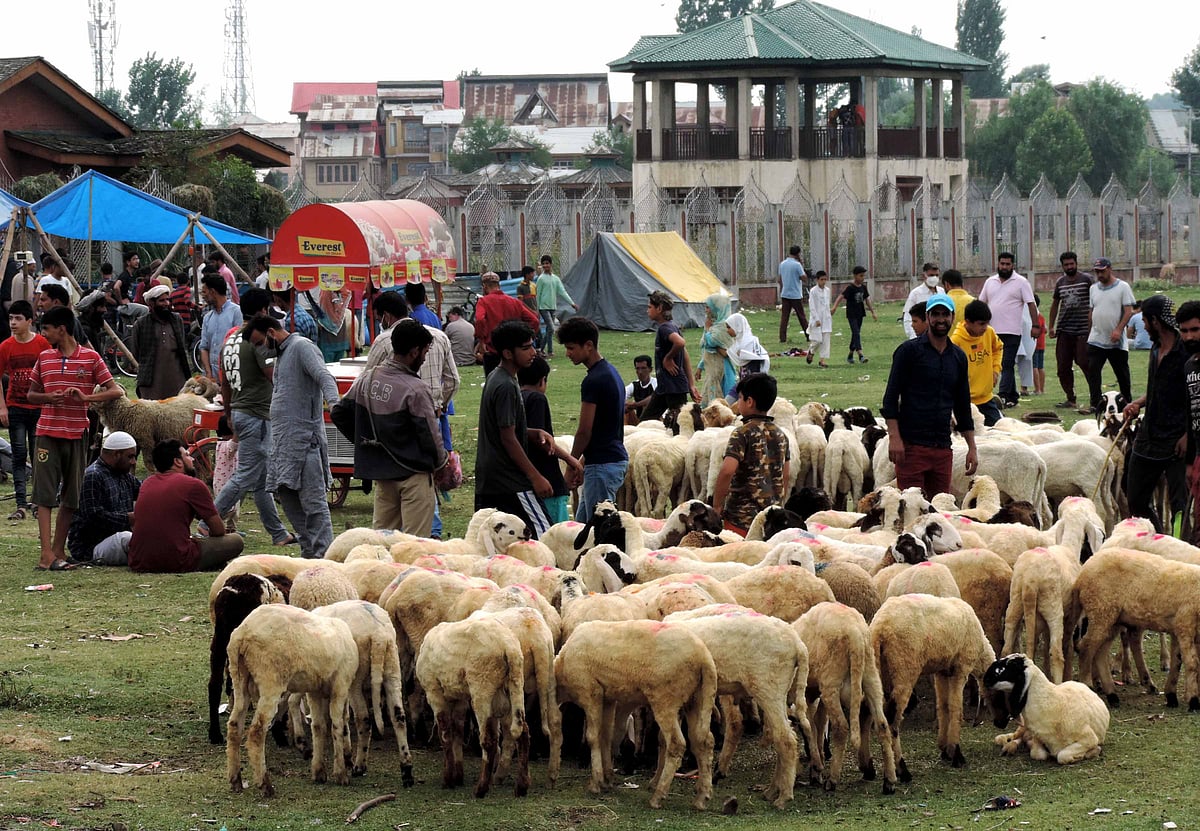 کشمیر: امسال بھی عید الاضحیٰ سے پہلے بازاروں میں روایتی گہما گہمی مفقود