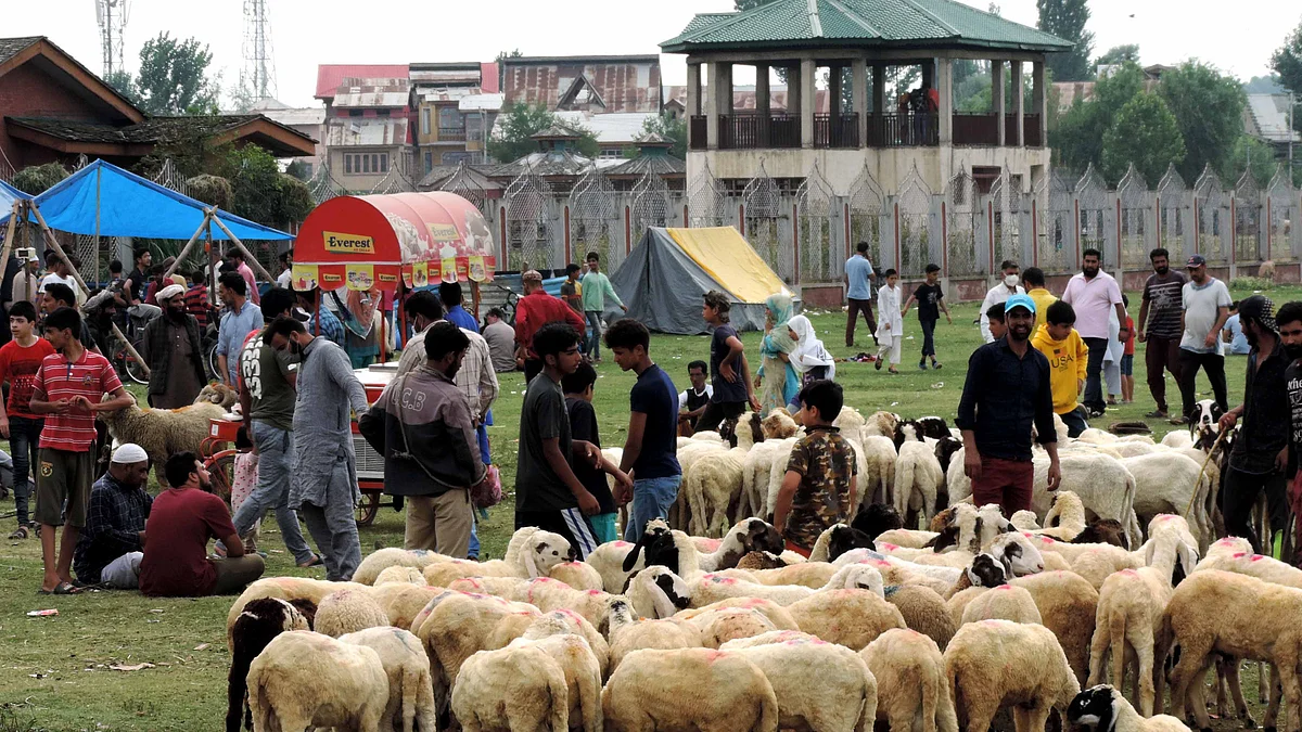 عید الاضحیٰ سے قبل مویشی بازار کا منظر / یو این آئی