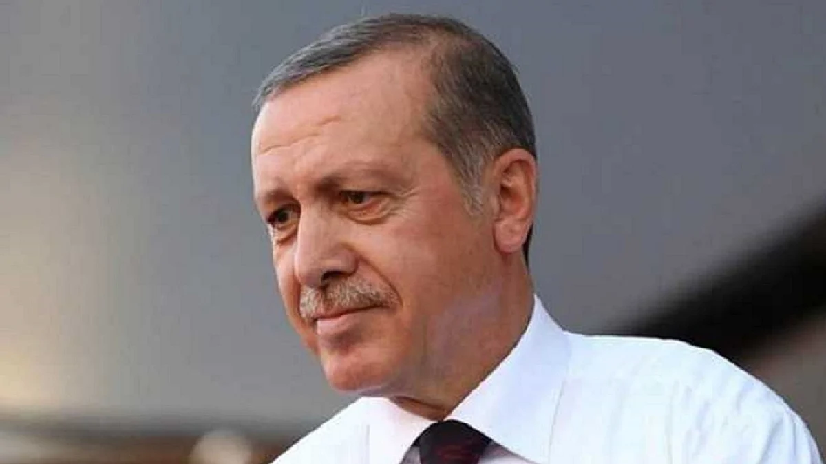 طیب ایردوآن، تصویر یو این آئی