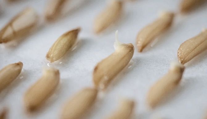 تصویر سوشل میڈیا