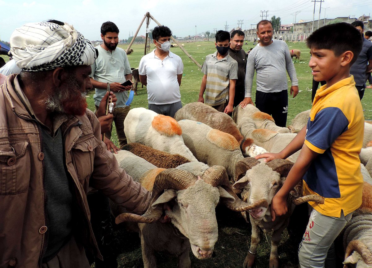 کشمیر: امسال بھی عید الاضحیٰ سے پہلے بازاروں میں روایتی گہما گہمی مفقود